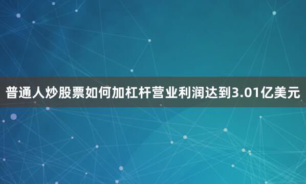 普通人炒股票如何加杠杆营业利润达到3.01亿美元